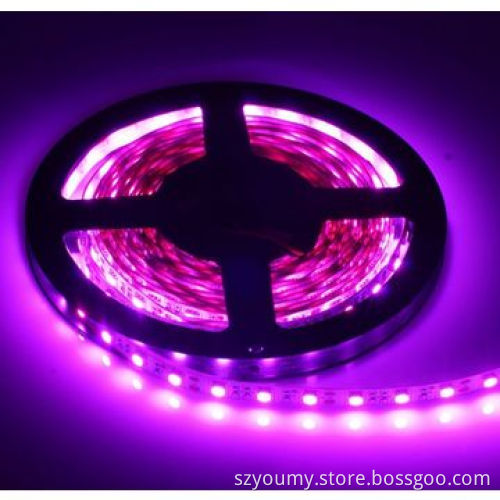 SMD 5050 Pink Color IP65 60 LEDs/m Flexible Light Strip for Party Decoration, ODM and OEM Welcomed